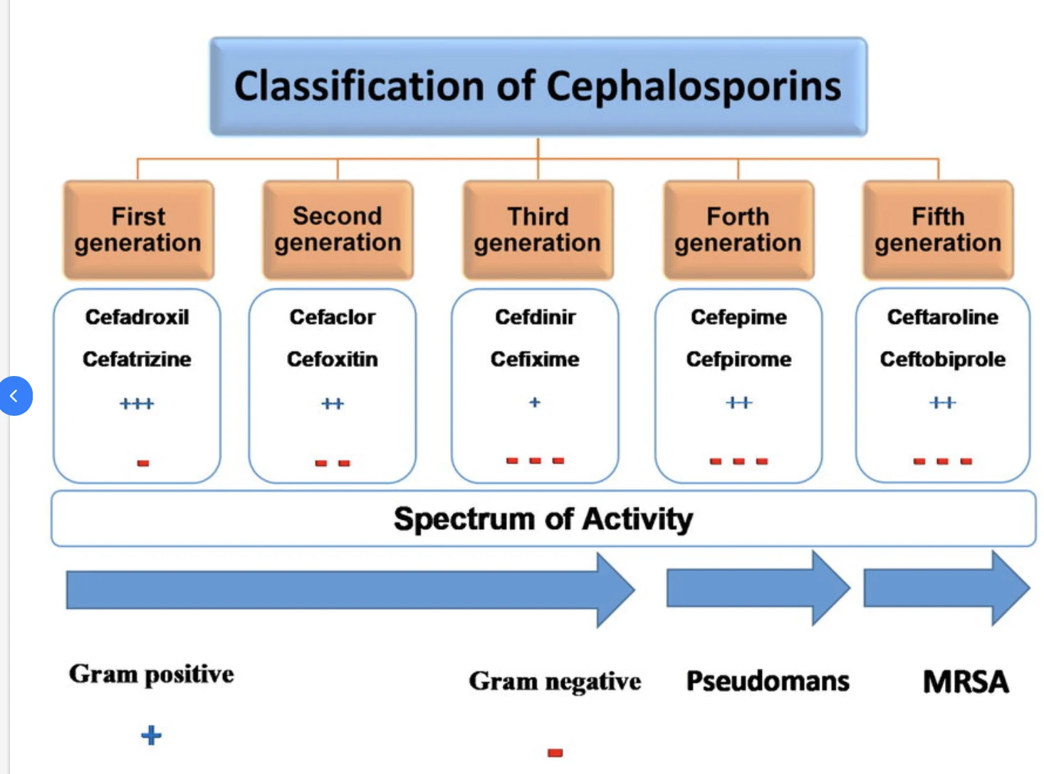 Classification of Cephalosporins
