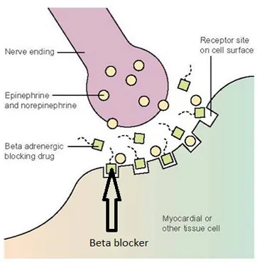 Beta Blockers