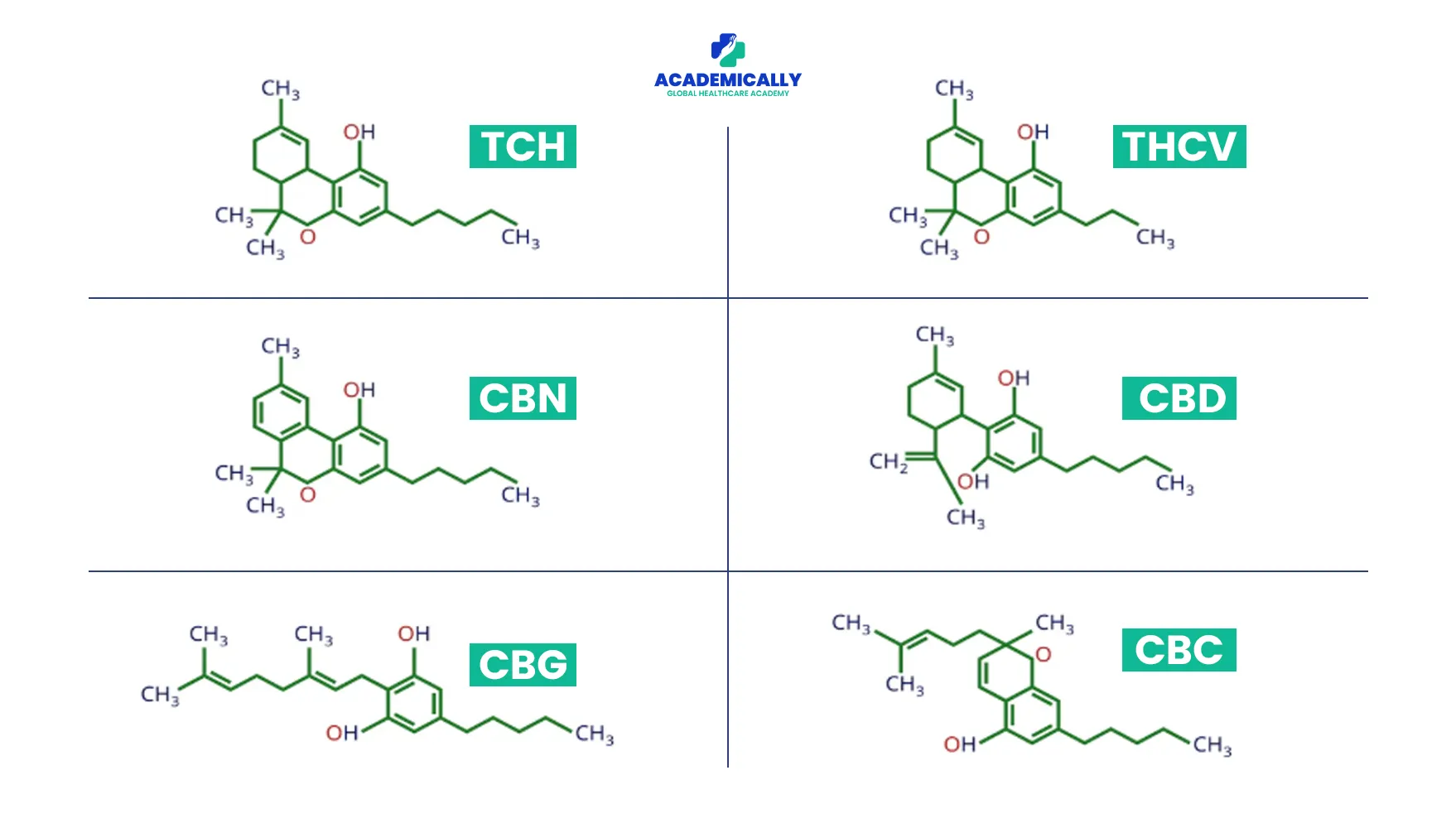 What Are Cannabinoids