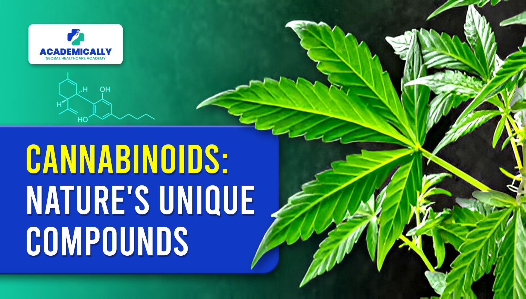 Cannabinoids Nature's Unique Compounds